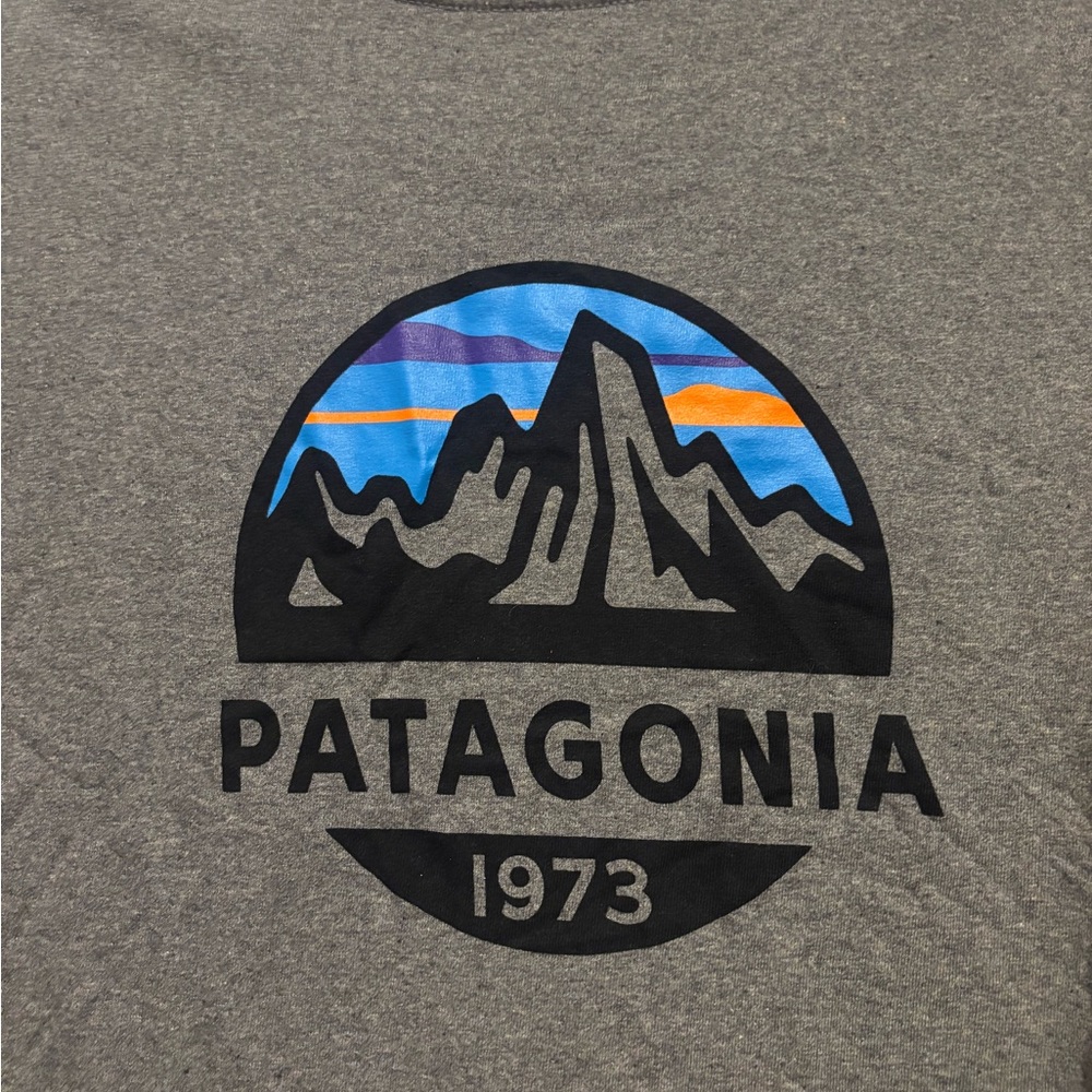 Patagonia Heather Gray Mountain Tee